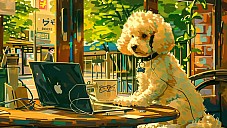 lofi-poodle-1.png: 1114x627, 1427k (May 26, 2024, at 10:32 AM)